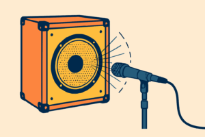 Speaker and microphone